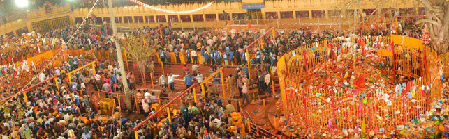 Sammakka Sarakka Temple